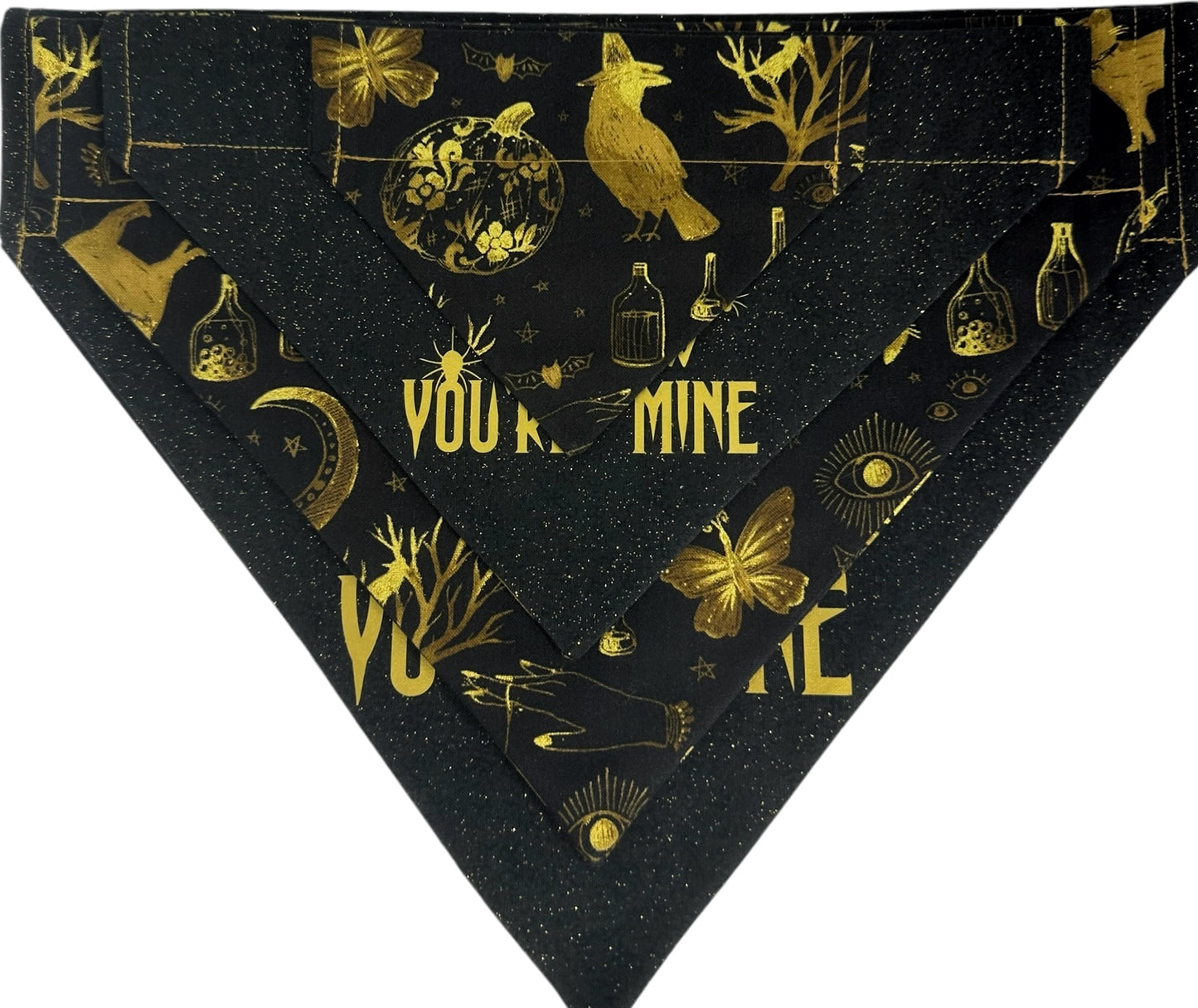 I Put A Spell On You Handmade Reversible Slip-on Bandana
