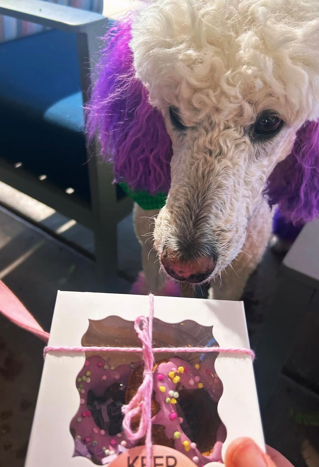 Heart-Shaped Dog Donuts