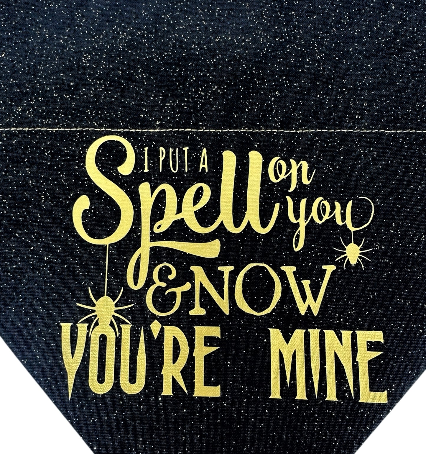 I Put A Spell On You Handmade Reversible Slip-on Bandana