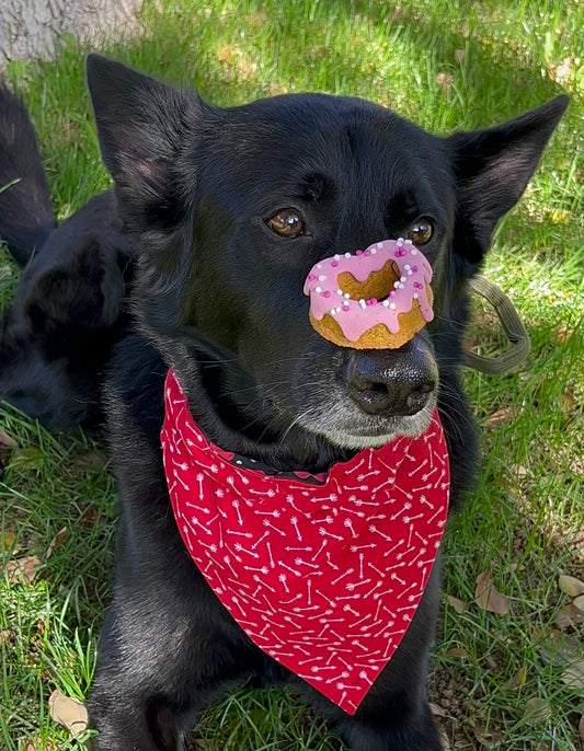 Heart-Shaped Dog Donuts