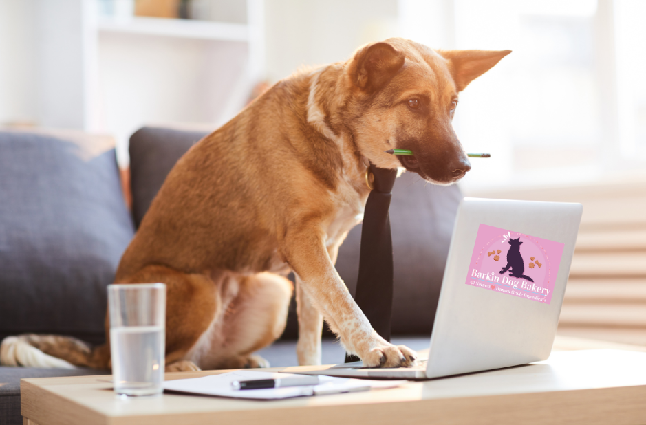 A photo of a German Shepard wearing a black tie with a green pencil in his mouth typing on a silver laptop computer which has an official Barkin Dog Bakery sticker on it. There is a glass half full of water, a pen, and paper on the table too.