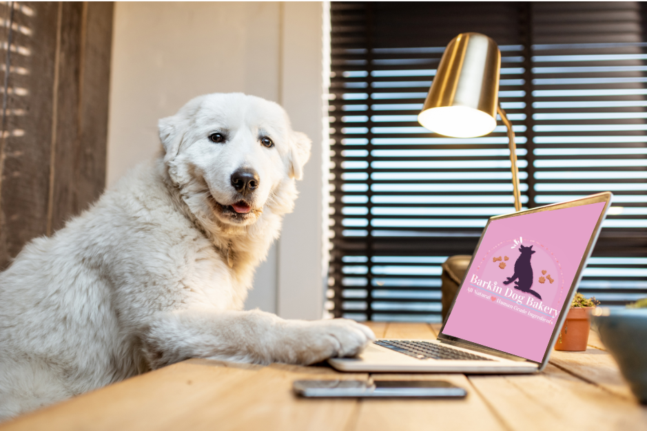 A picture of a fluffy white dog looking at the camera, sitting in chair, typing on a laptop. The laptop screen displays the Barkin Dog Bakery official logo.