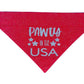 PAWty In The USA Handmade Reversible Slip-on Bandana