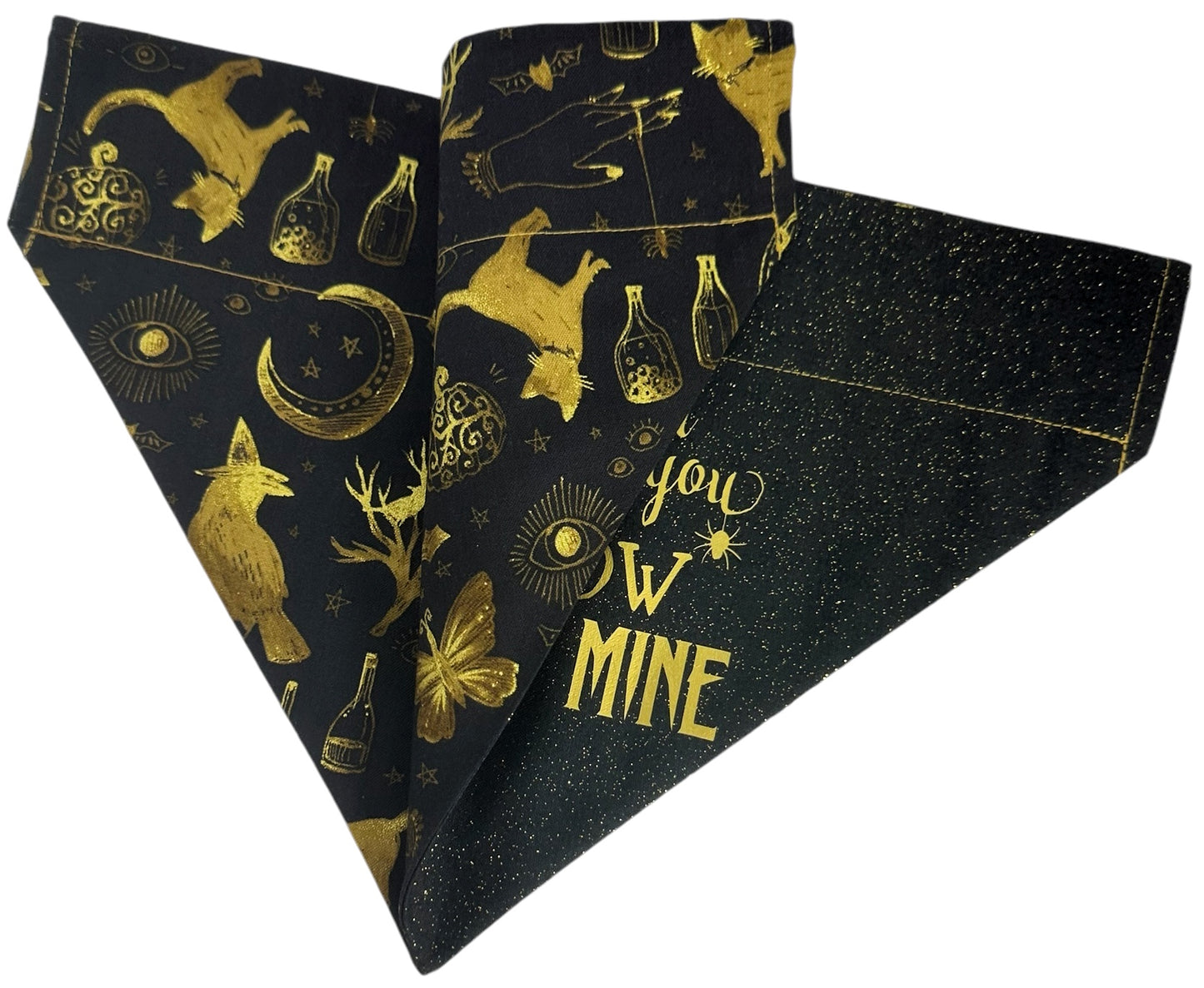 I Put A Spell On You Handmade Reversible Slip-on Bandana