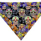 Festive Skulls