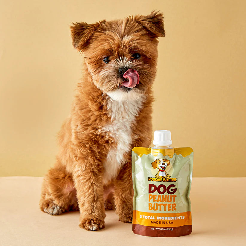 An adorable tiny dog sits juxtaposed to a comparatively Large 8.2 ounce Squeeze pack. 