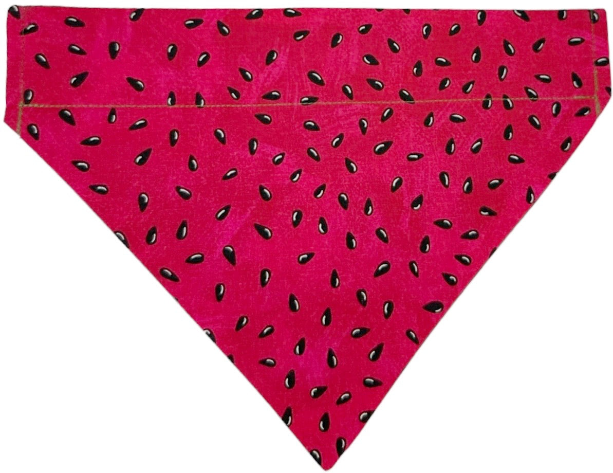 Watermelon and Dark Green Handmade Reversible Slip-on Bandana