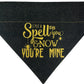 I Put A Spell On You Handmade Reversible Slip-on Bandana